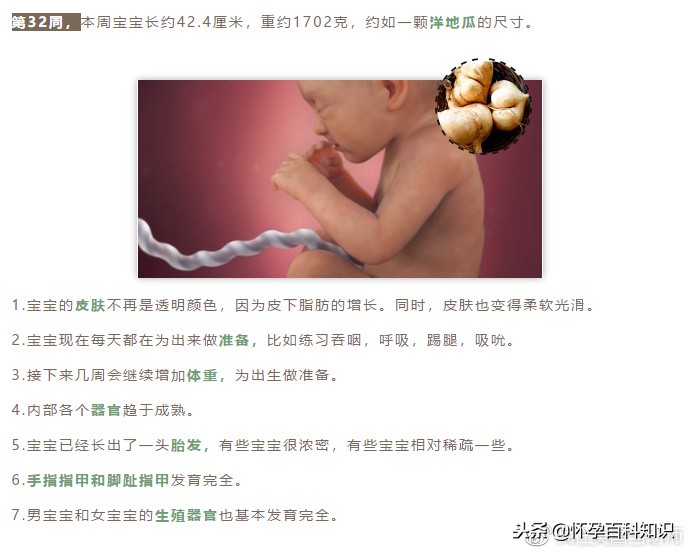 怀孕各个时期胎儿发育过程,怀孕的过程要几天