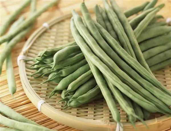 一家三口吃野菜险丧命,一家三口吃丝瓜