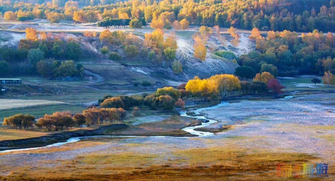 一到秋天，这里就美成了金色天堂！全世界独一份！
