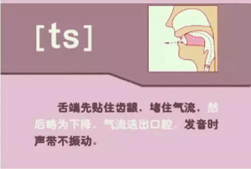 小妞老师音标发音48个教学视频,48个英语音标视频教学