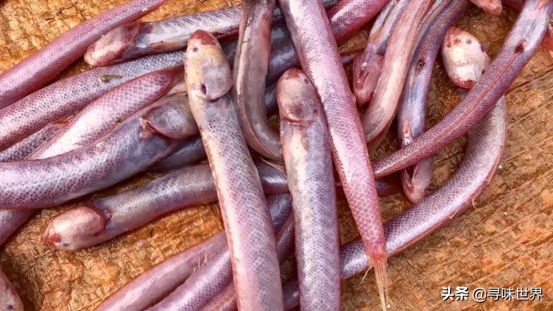 买鱼食内行人专买这十种纯海鱼,内行人就买这5种鱼