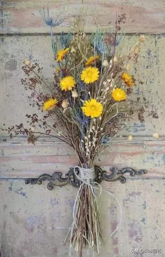 干花如何定格在墙上,干花制作5朵花教程
