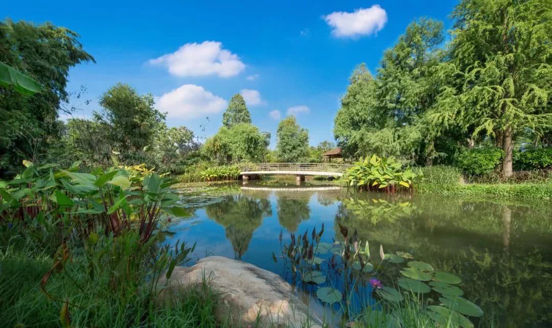 厦门海景最棒的酒店,厦门岛内100多的酒店