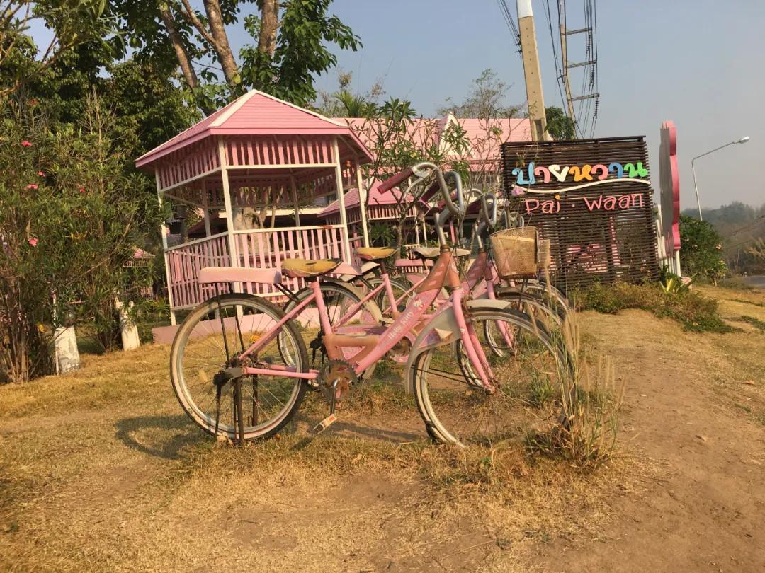 泰国有多好玩,泰国有什么好玩的东西