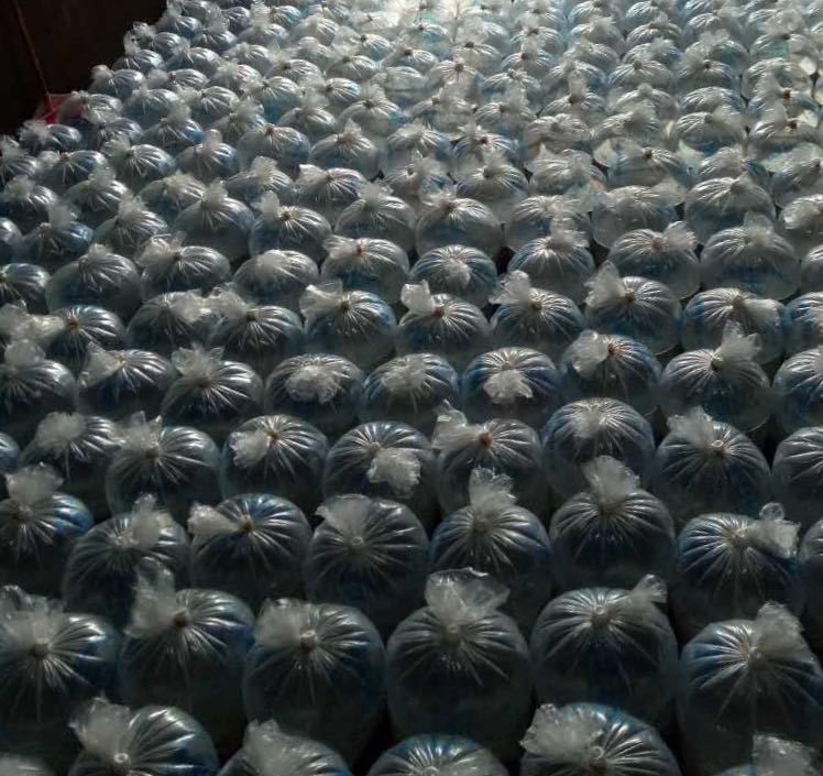 竹鼠产业化养殖及疾病防治研究