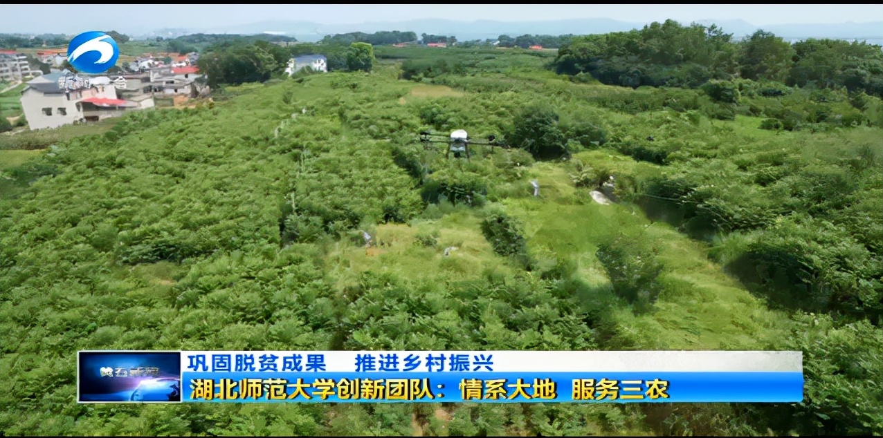 产值近5000万！湖北“超牛”团队攻克关键技术，获4部门联合表彰