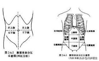 肚子疼真的那么简单吗？——慢性腹痛的一点点点的事