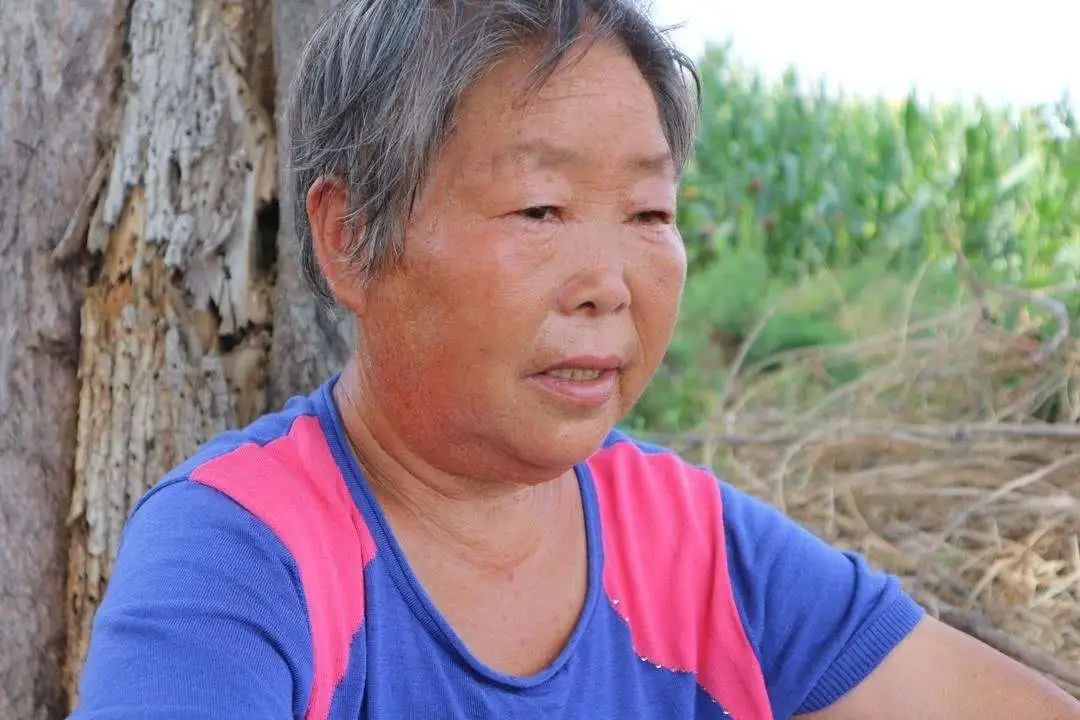 该不该让女儿买房,该不该给女儿买套房子