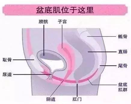 产后尿*禁失**、排便障碍、月子病...咋办？