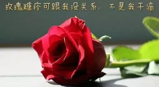 玫瑰糠疹如何治疗和关注事项,花斑糠疹和玫瑰糠疹有什么区别