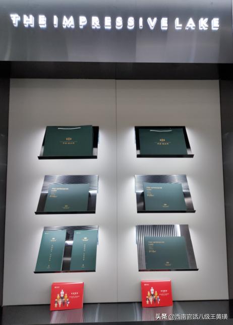 贵阳金茂观山湖业主被打事件,贵阳金茂观山湖业主被打后续