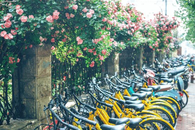 请回答郑州青年,请回答1988完整视频