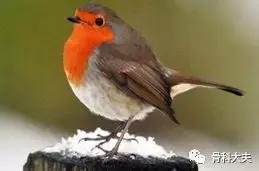 脖子突然往一边歪是怎么回事,孩子脖子突然歪了怎样矫正