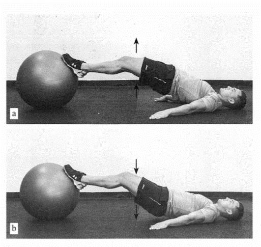 专项体能测评及训练关注事项,专项体能训练的作用