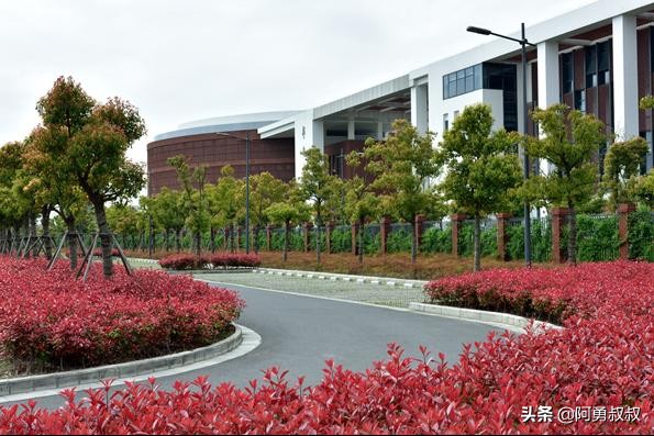 昆山十大顶级中学,江苏昆山中学排名