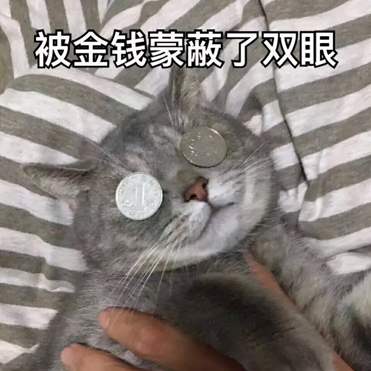 香奈儿限购,香奈儿包包涨价尝到恶果
