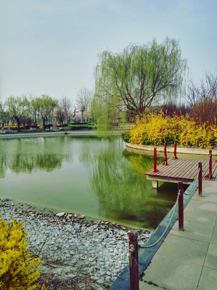 山东昌邑市第一中学,山东前十高中昌邑一中