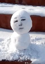 冬天，千万别看北方人的朋友圈！笑出猪叫哈哈哈哈哈