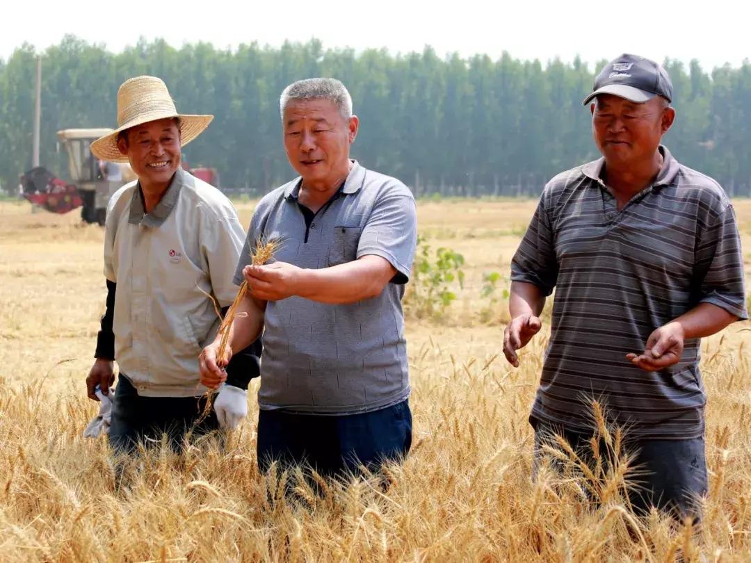 【超燃来袭】武清：70张笑脸，用稳稳的幸福，致敬可爱的祖国！