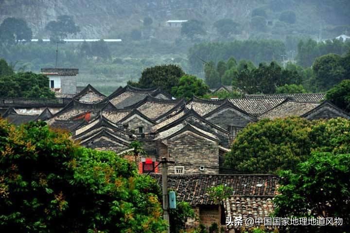 网友如何评价深圳这座城市,怎么夸赞深圳这个城市很美丽