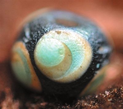 如何分辨老琉璃珠的真假,怎样分辨老琉璃