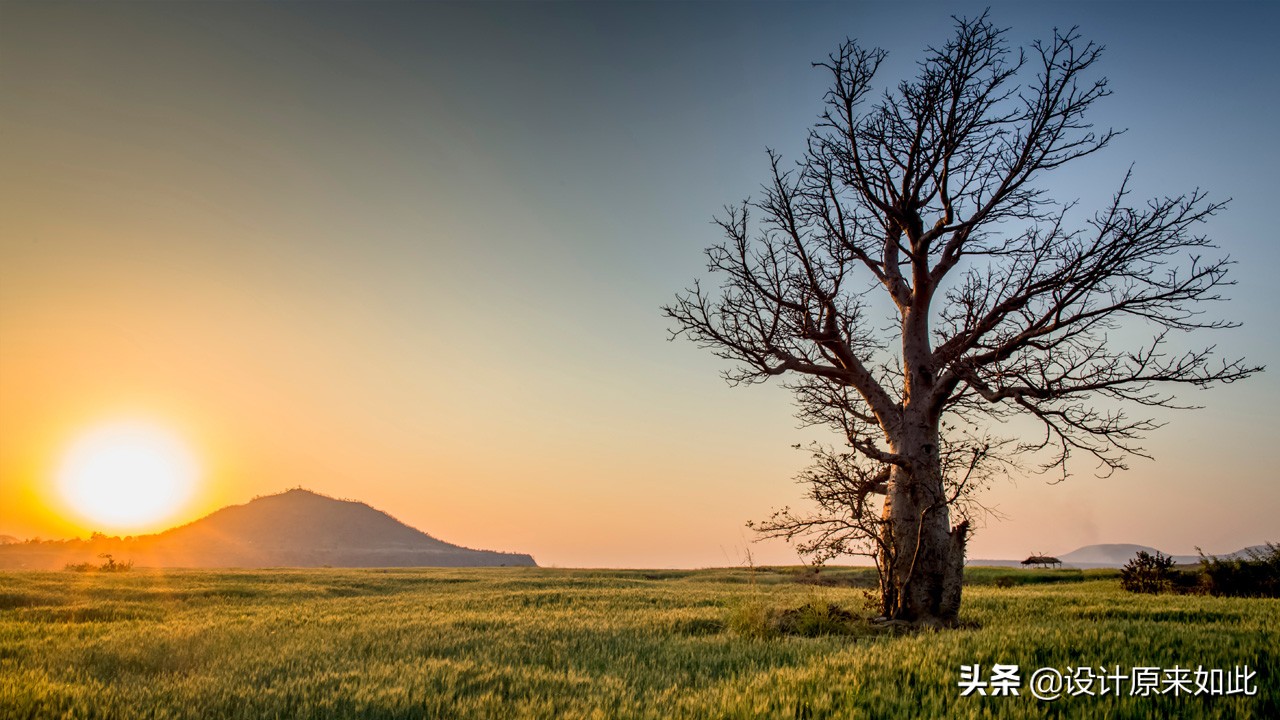色阶工具怎么调整图片,ps文字色阶调色教程