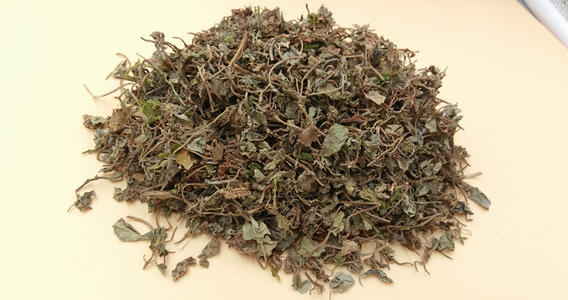 奇妙中医药免费阅读,奇妙中药79集视频