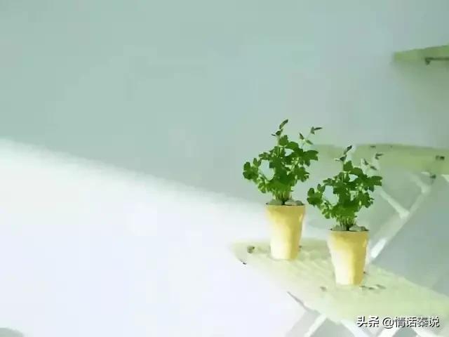 对付虚伪的人用这招,对付虚伪的人就用这招