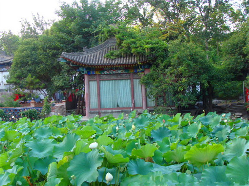 西安莲湖区20个旅游景点，3个是公园，其他17个历史底蕴丰厚