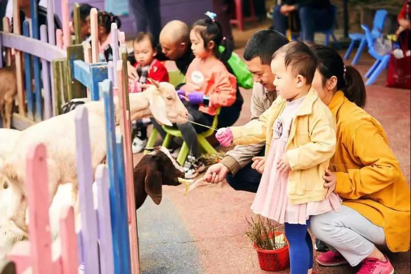 儿童乐园怎么运作,儿童乐园运营思路及逻辑