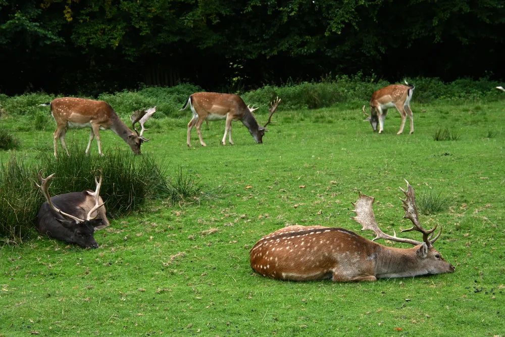 尼康z16-50和z28镜头对比,尼康zdx16-50