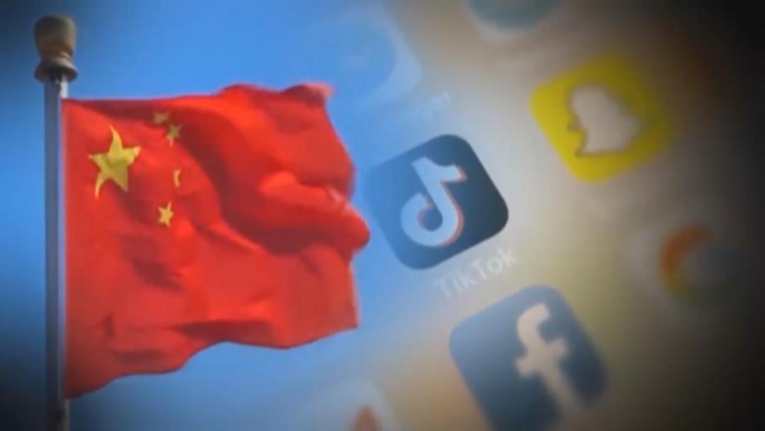 美参议员呼吁特斯拉召回车辆,美国政客tiktok干扰大选