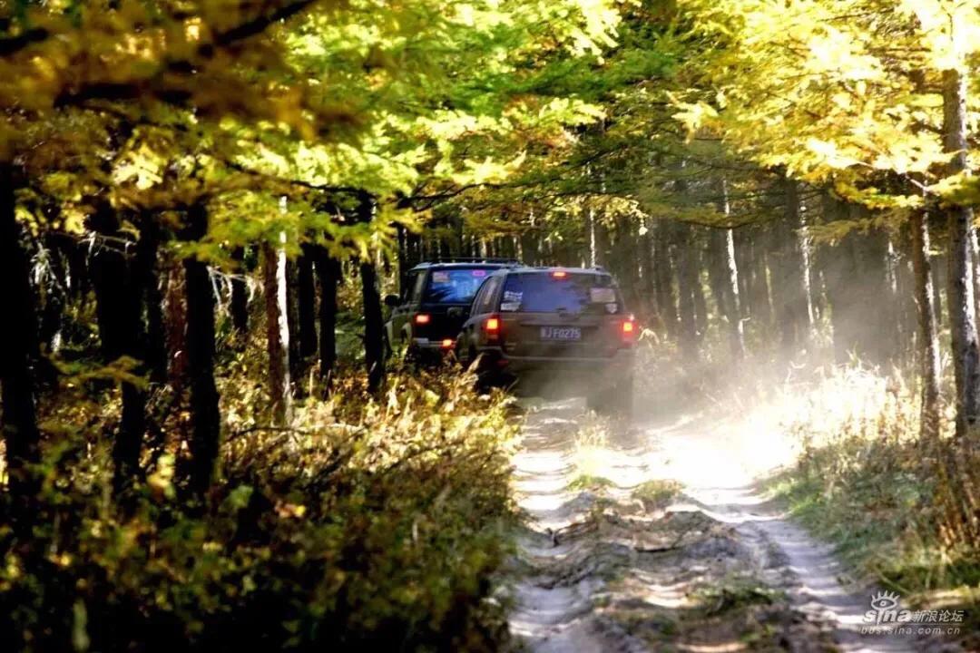 潍坊大草原4天旅游攻略,潍坊草原旅游自驾参团