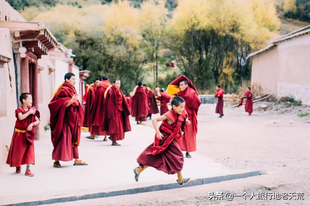 忽然想去自驾游了,想去川西看星空