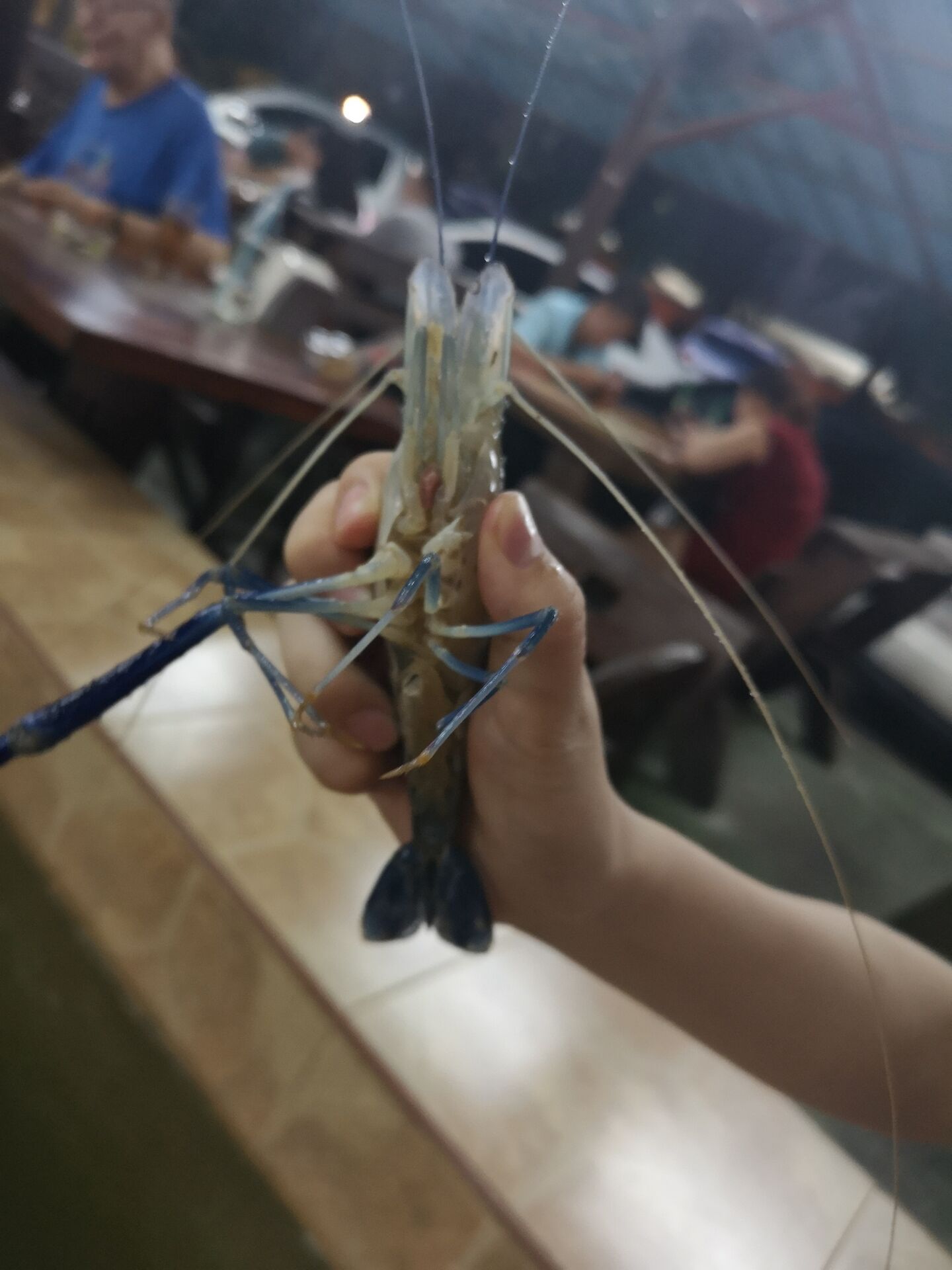 在泰国曼谷吃什么好,曼谷和清迈美食有什么不同