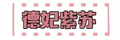 十大公认好用的水乳秋冬,秋冬怎样选水乳