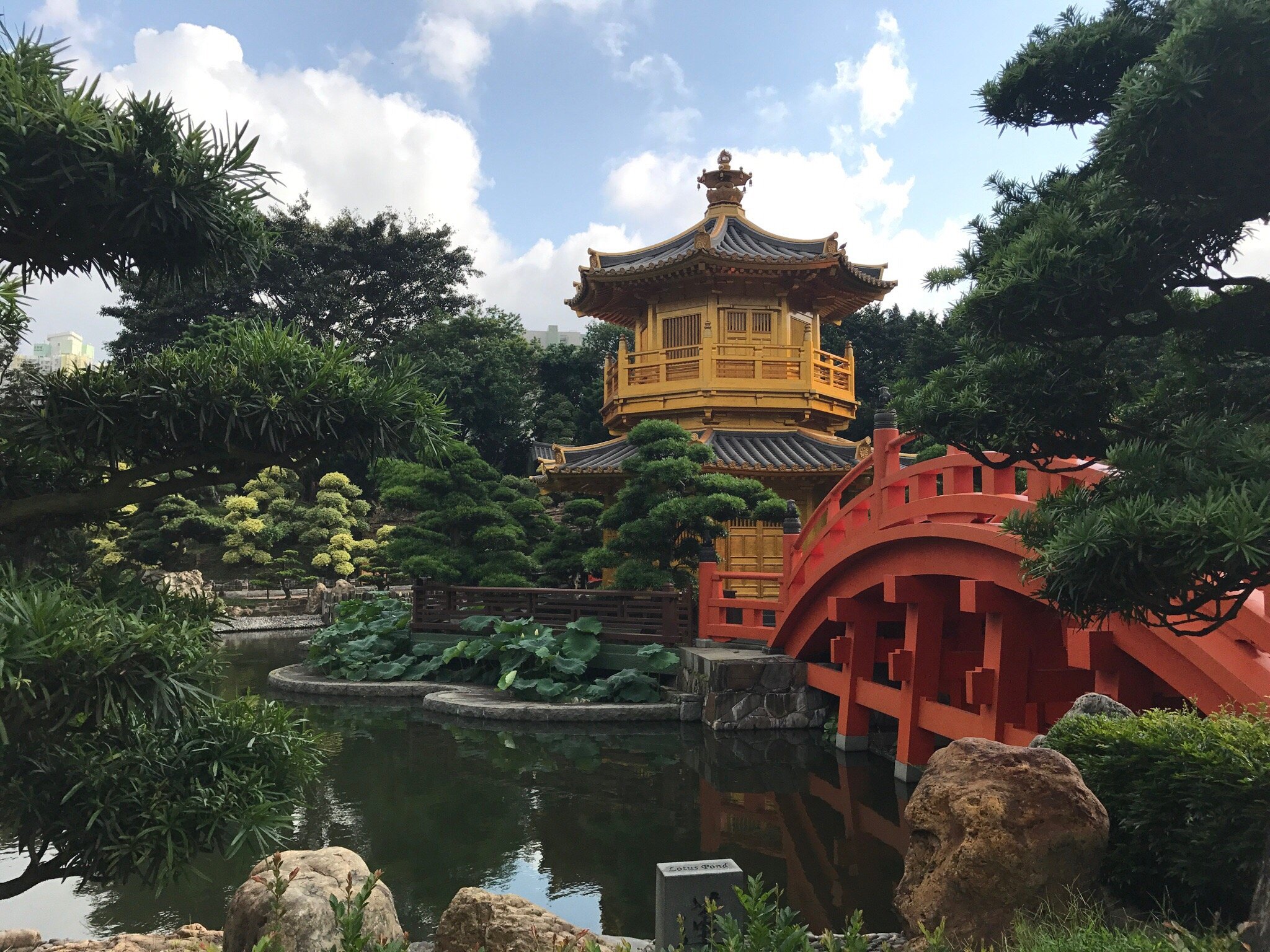 香港志莲净苑地图,香港志莲净苑好玩吗