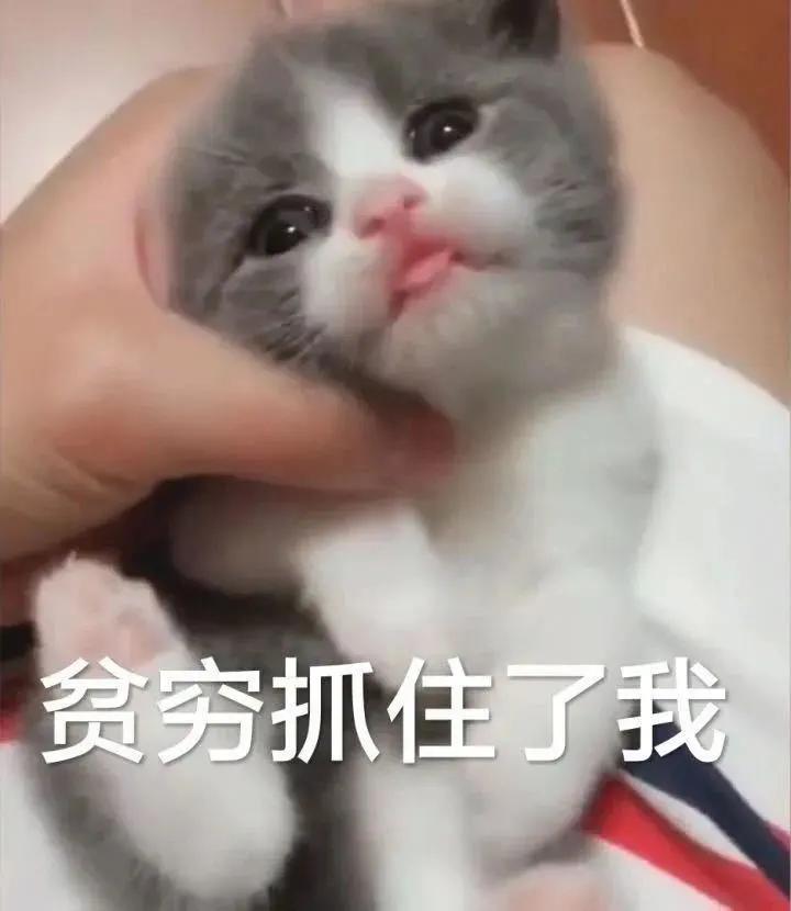 好喝不胖的新品,好喝不胖的热饮