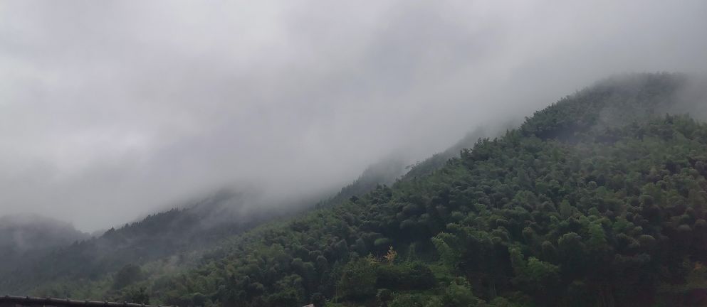 一场烟雨，把人困进仙境！藏在金华南山的这个小村，不求爆红，只求安静邂逅！