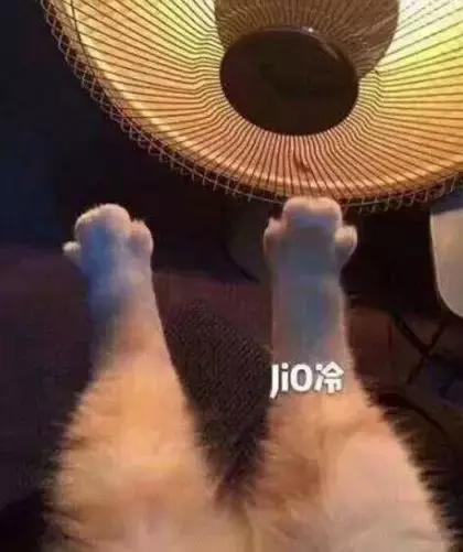 羽绒服怎么穿效果最好 (羽绒服穿着要什么样才叫做刚合适)