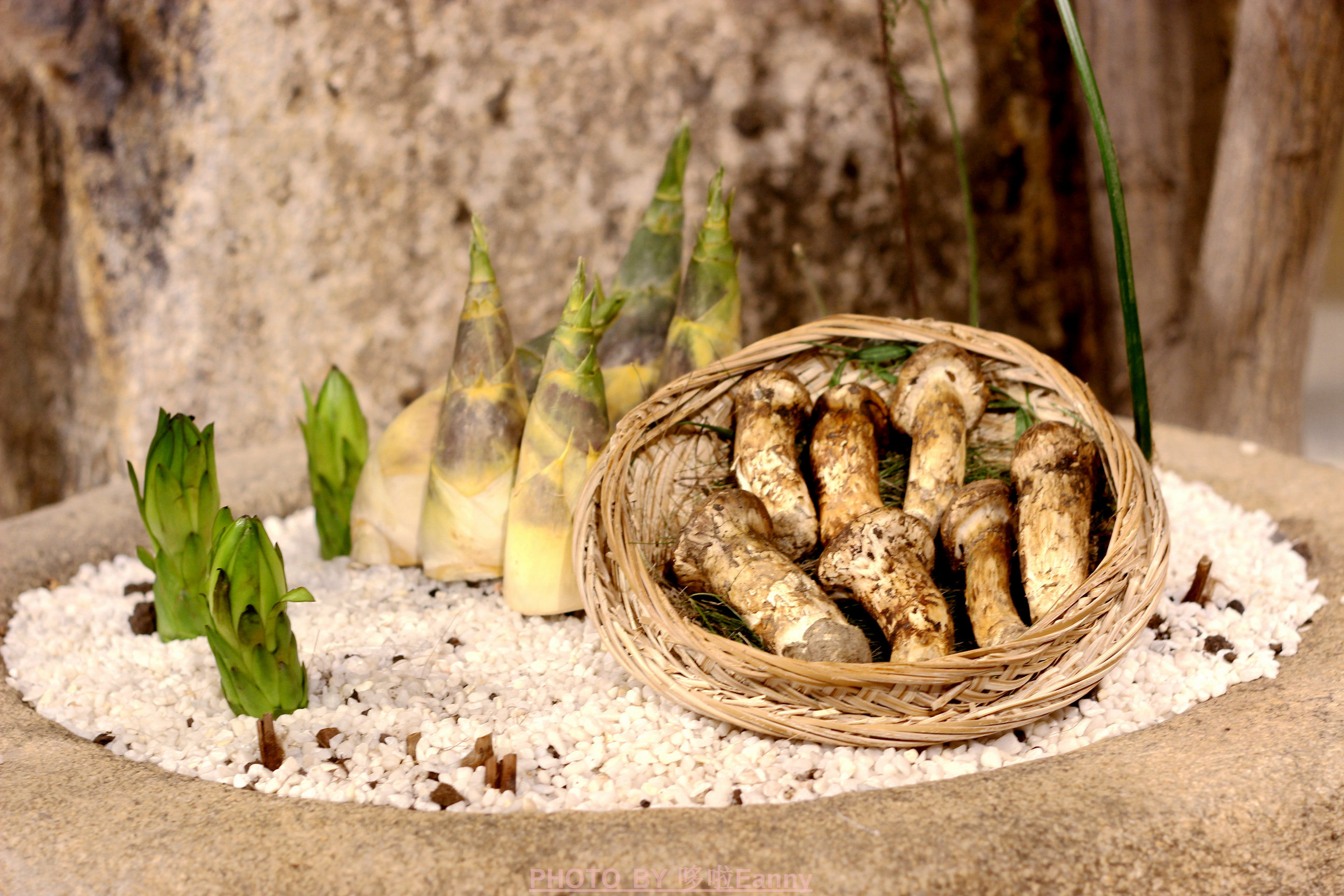 来一场仪式感,最有仪式感的素食