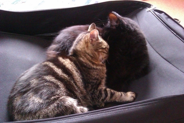 “洗衣服务”说成washclothes？难怪老外给你白眼！