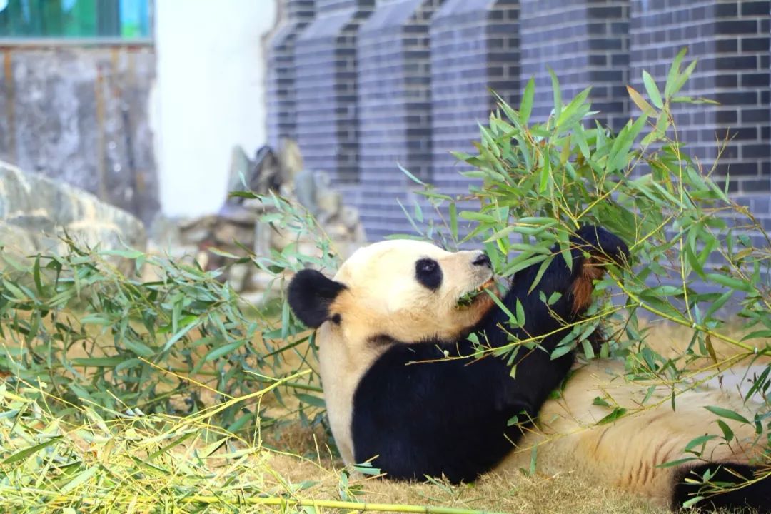 5.17遇见Ta在一起|这里有个不一样的脱单机会，速来~