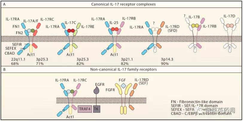 银屑病目前最好的特效药生物制剂,全球最新银屑病新药