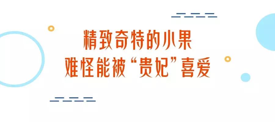 贵妃芒号称是芒果之王皮薄多汁,贵妃芒树上摘下来就能吃的芒果