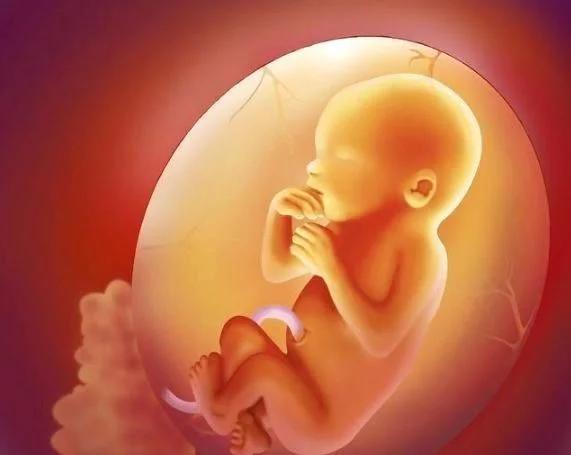 孕期一般做几次b超检查,孕期b超检查不要超过几次