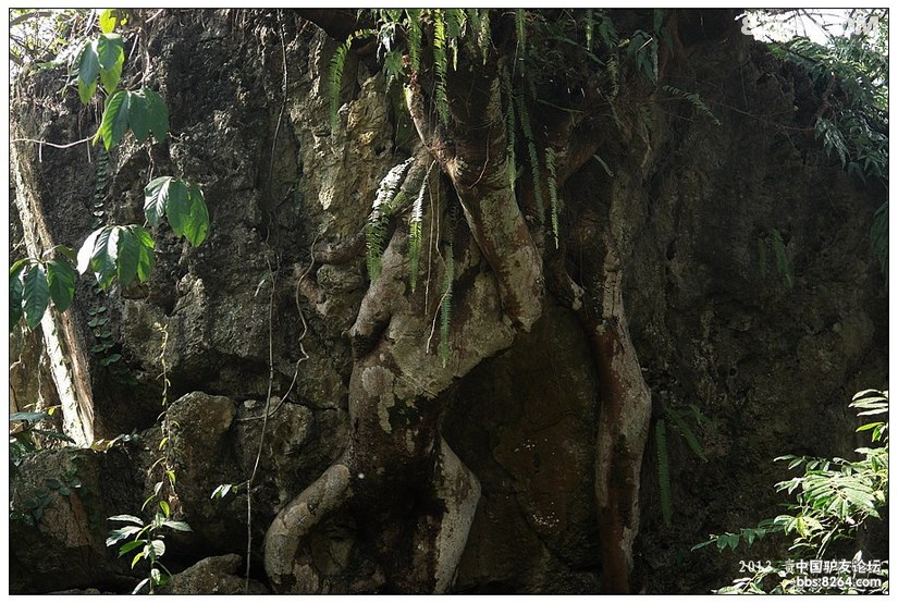 贵州黄果树天星桥游记,贵州黄果树天星桥景区