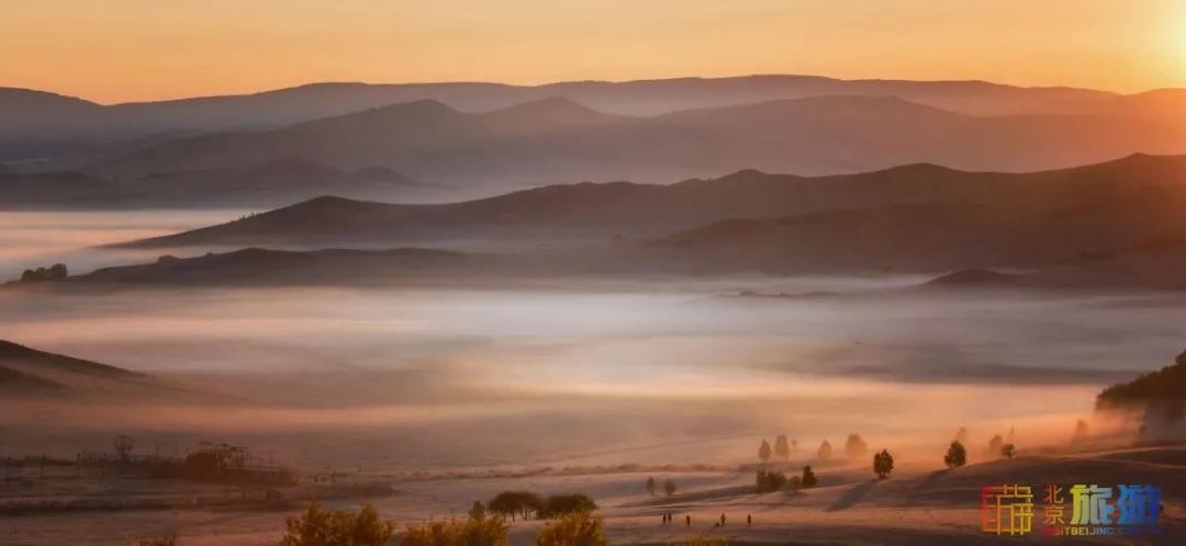 一到秋天，这里就美成了金色天堂！全世界独一份！