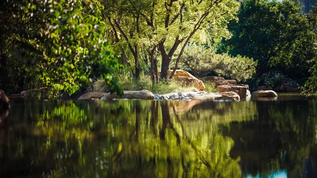唐城壹零壹一期好不好,唐城壹零壹一期