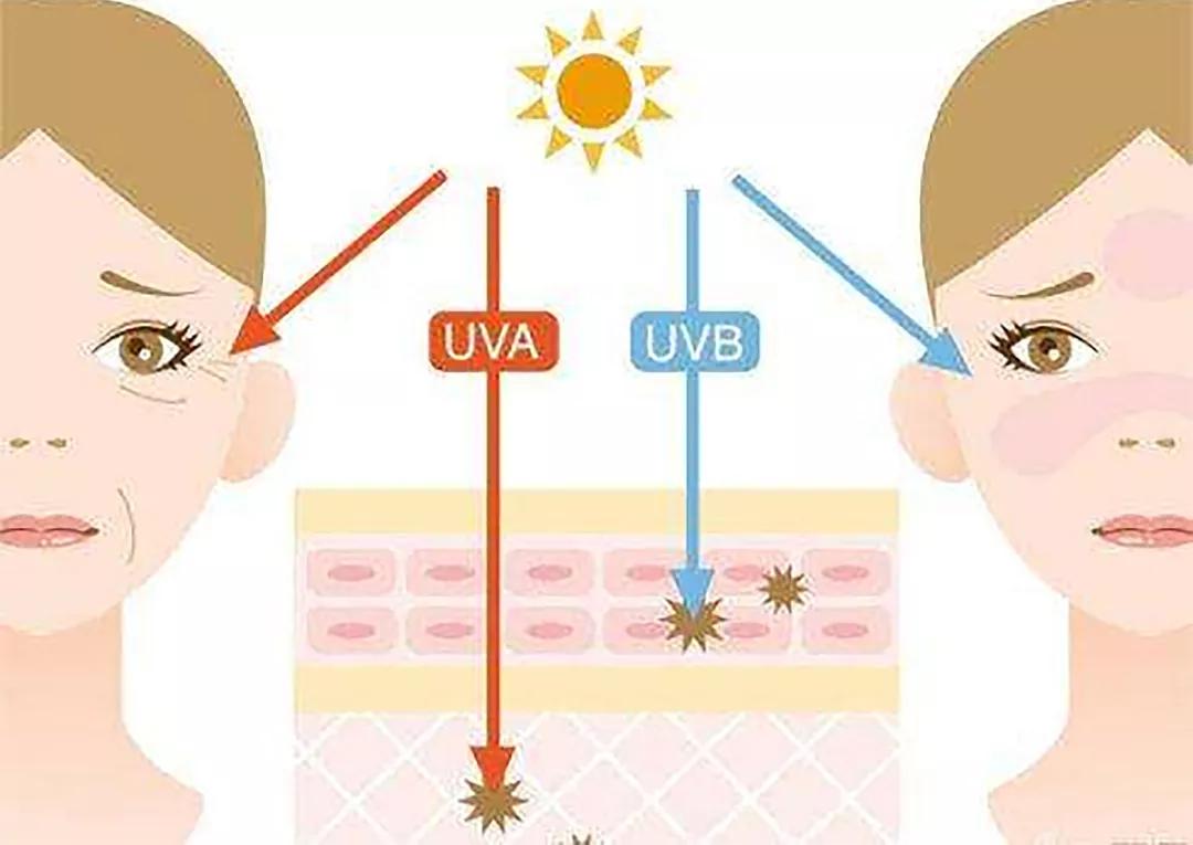 我的12月爱用物，10件超好用单品让你一次看个够